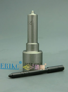 ERIKC DLLA145P2397博士喷油嘴 DLLA 145 P 2397 ( 0433172397 )