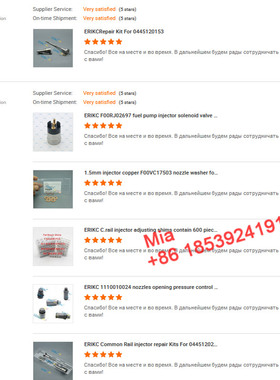 Feedback from ERIKC Diesel Customer,Payment link as weAgreed