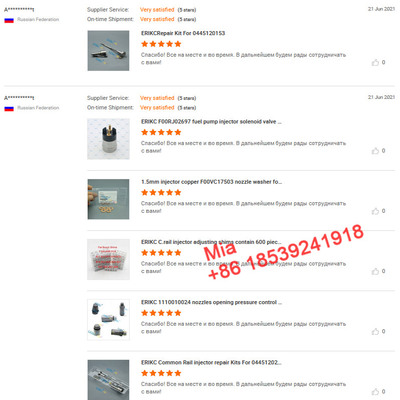 Feedback from ERIKC Diesel Customer,Payment link as weAgreed