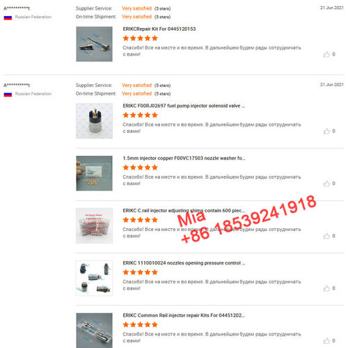 Feedback from ERIKC Diesel Customer,Payment link as weAgreed