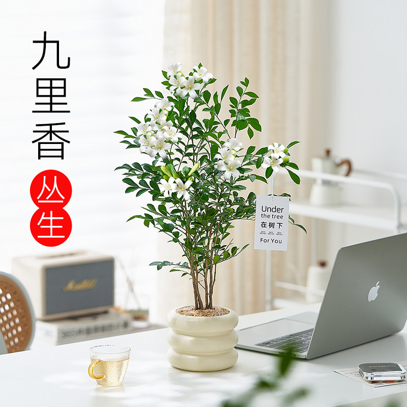 ����������+mini������+�ƽ�ɳ+�����µ��� ��������� ������׮����������+������