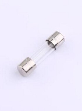 0034.3125 一次性保险丝 250V -