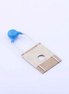 YP0AH101K060BAMD0H 安规电容 等级:Y1 100pF ±10% 插件,P=10mm