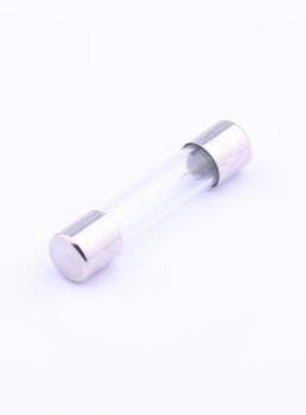 6G.6000220000S1 一次性保险丝 玻璃管保险丝 D6.35xL30mm
