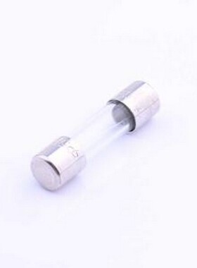 5F.1600210000R1 一次性保险丝 玻璃管保险丝 D5.2xL20mm