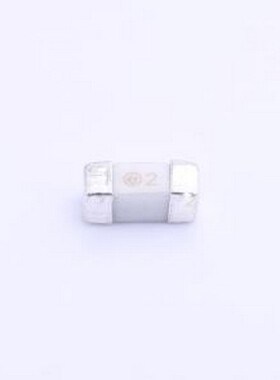 244 T2L250V 一次性保险丝 2A 250V SMD