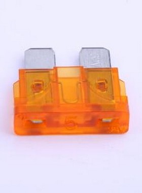 9C.5000302ZK2G(中型) 汽车保险丝 32V刀片式保险丝 -