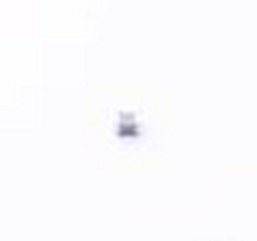 CGA4J2C0G2A103J125AA 贴片电容(MLCC) 10nF ±5% 100V 0805