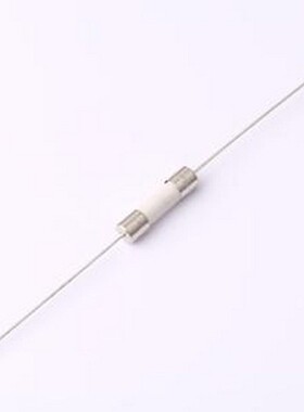 0215002.MXESPP 一次性保险丝 FUSE 250V 5x20 Single PGT HBC 2A