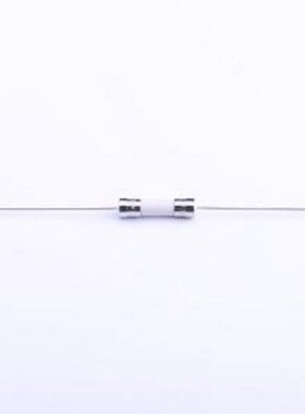 0216010.MXEP 一次性保险丝 陶瓷管保险丝 插件,D5.8xL22.5mm