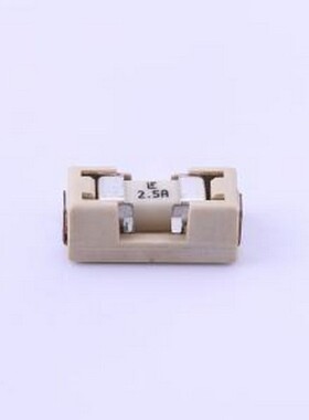 015402.5DR 一次性保险丝 125V贴片式保险丝（含保险丝座） SMD,9