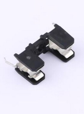 0031.8211 保险丝座(盒) 0031.8211 -