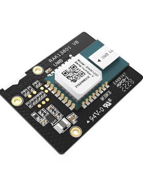 UWB模块 Decawave DWM1000 RAK13801