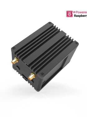 WisGate 开发人员 D4H+ RAK7248C 基于树莓派 4 的 LoRaWAN 网关