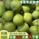 海南新鲜椰子椰青带皮嫩椰蛋纯天然孕妇补羊水专用当季 现摘现发果