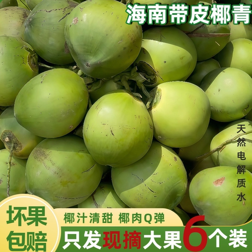 海南新鲜椰子椰青带皮嫩椰蛋纯天然孕妇补羊水专用当季现摘现发果
