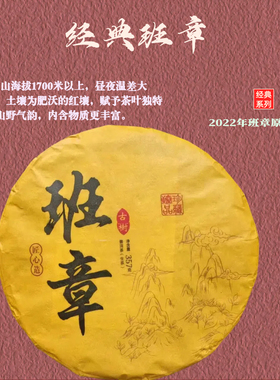 云南普洱茶  班章古树生茶  纯料古树2023年班章生茶 357g