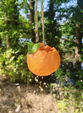 剥皮橘子悬挂花盆麻绳吊盆庭院阳台绿植多肉挂饰花园园艺装饰摆件