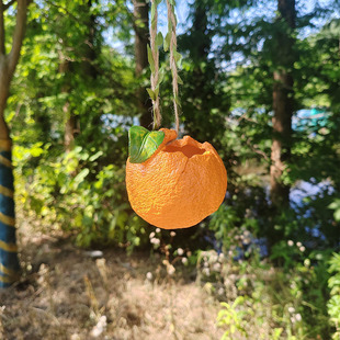 剥皮橘子悬挂花盆麻绳吊盆庭院阳台绿植多肉挂饰花园园艺装饰摆件