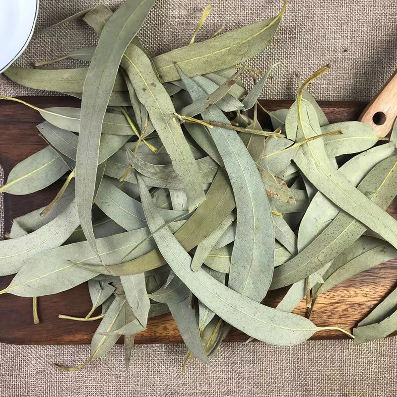 桉树叶干品粉500g包邮桉叶