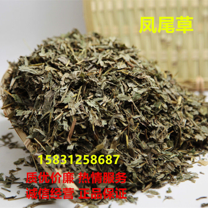 凤尾草金鸡尾井口边草500g