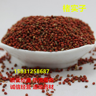 楮实子楮实米仙翁送宝楮桃构树果构树子500克g包邮