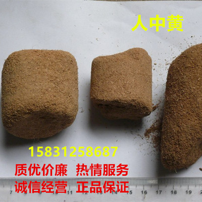 人中黄甘草黄甘中黄500g人中黄粉