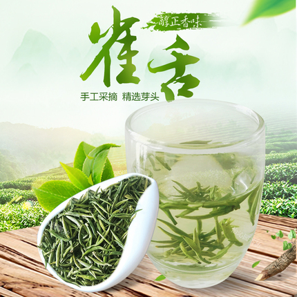 雀舌茶叶绿茶 2019新茶 散装明前春茶特级翠芽毛尖龙井礼盒装100g