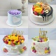 2026蛋糕模型仿真新款 水果单层双层现货拍下即发 网红卡通儿童欧式