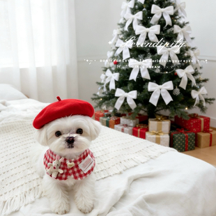 韩国ins新年限定宠物红格子围脖猫咪狗狗口水巾围兜围嘴兔子装饰