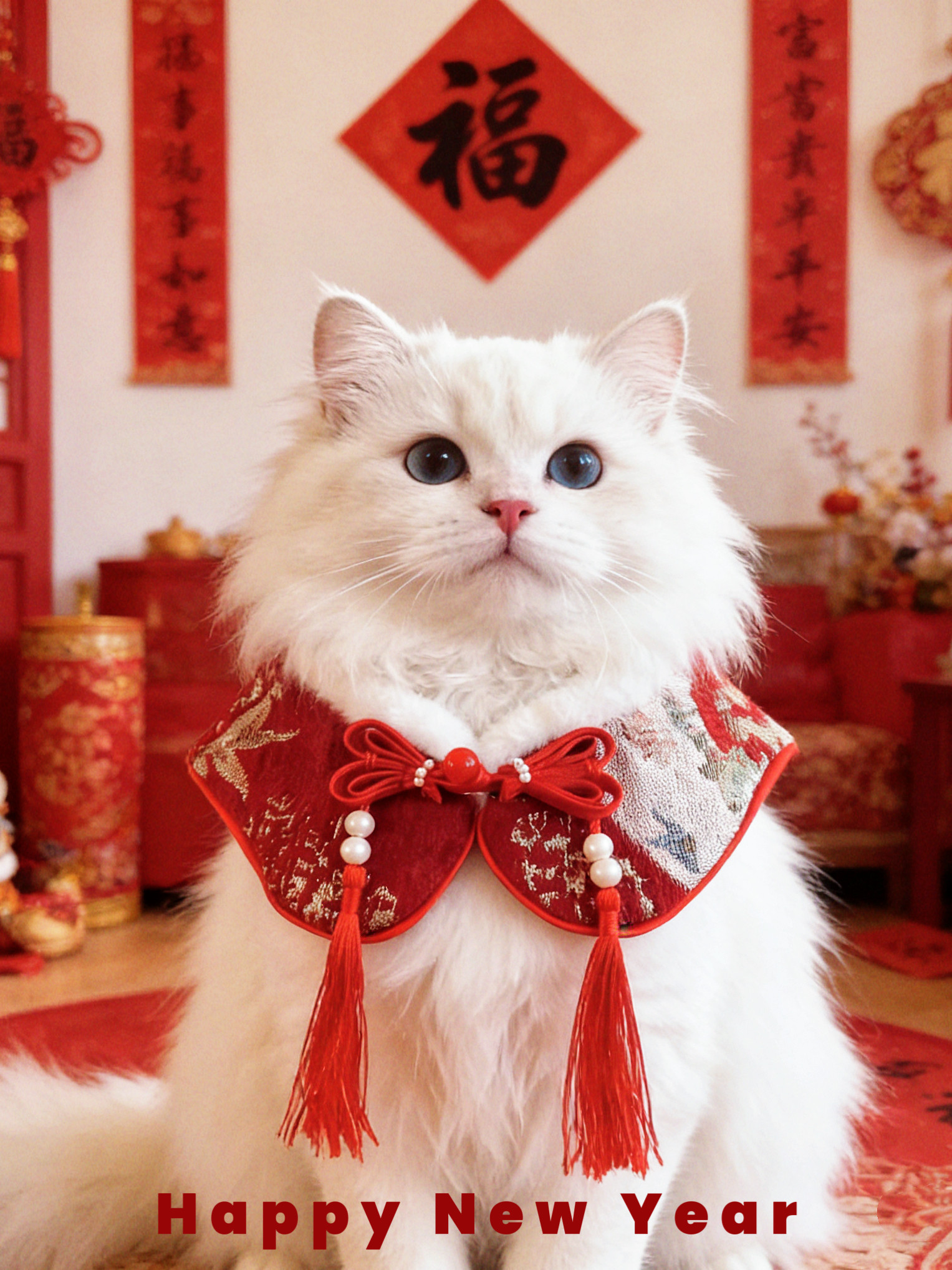 Totopets新年古风宠物毛绒围脖猫咪狗狗喜庆装扮围兜披肩拍照装饰,宠物/宠物食品及用品,围巾/口水巾,淘宝优惠券,粉丝福利购,淘宝优惠卷