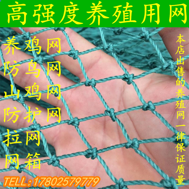 植物爬藤网养殖网养鸡网养殖围网批发塑料养鸡网果园防鸟网菊花网