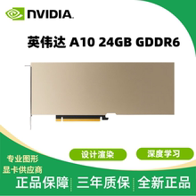 英伟达 A10 24GB专业显卡设计渲染深度学习