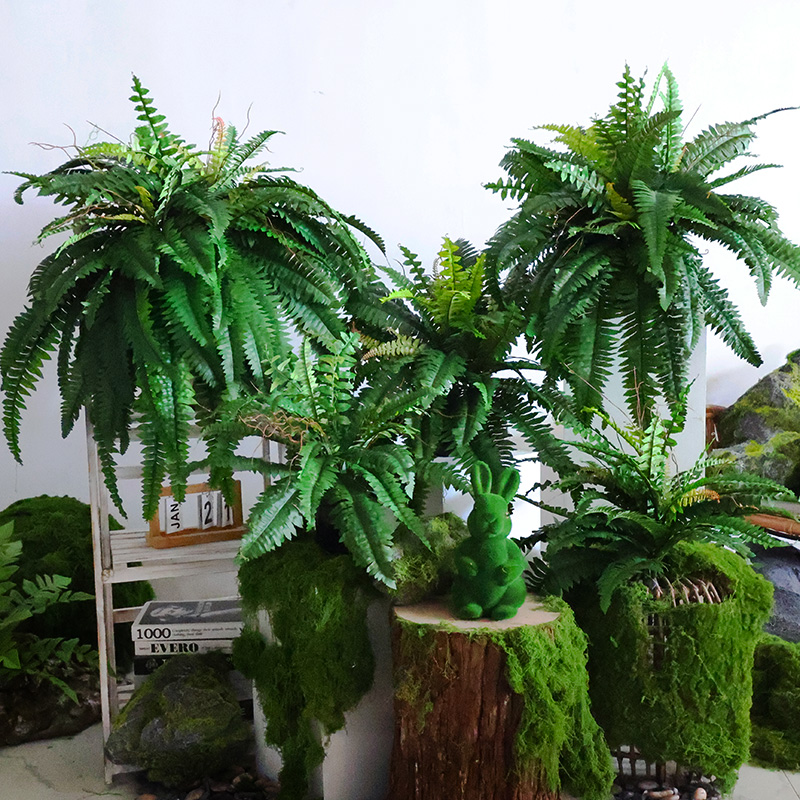 仿真绿色蕨类植物肾蕨波斯叶