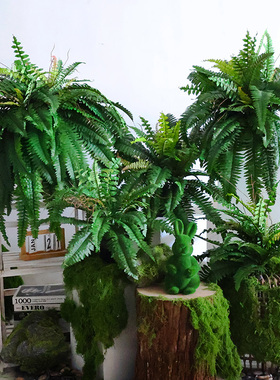 仿真绿色蕨类植物肾蕨波斯叶