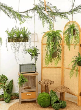 植物角布置房屋棚顶部森系装饰球