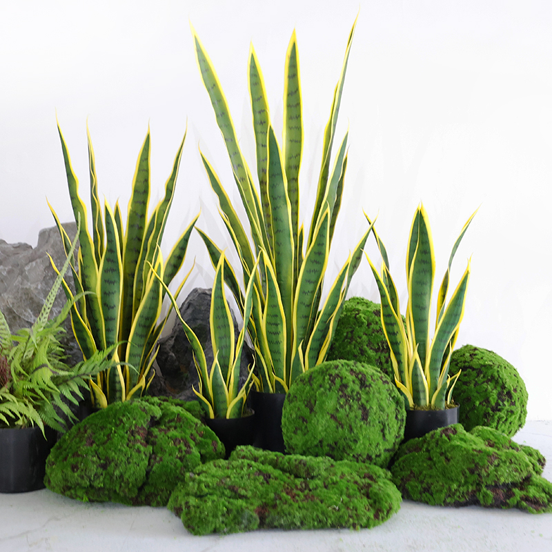 仿真植物虎皮兰金边长叶