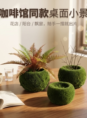 仿真苔藓球花器桌面阳台摆件