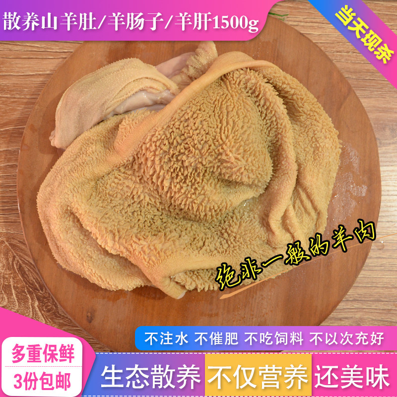 新鲜土黑山羊肚羊肝羊肠羊杂汤羊下水 山羊毛肚羊肠千野羊行