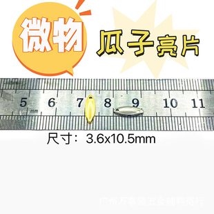 天外飛仙微物利器3.6*10.5mm叩甲虫 小瓜子亮片 路亚新手 30枚装
