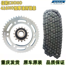 雅马哈摩托车天剑王YBR250 YS飞致250大小齿轮链轮链盘链条套链