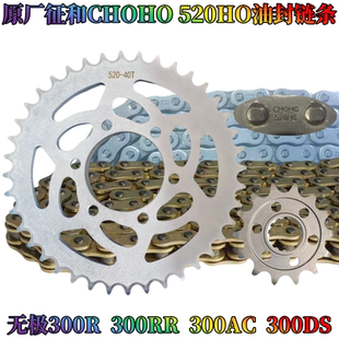 隆鑫无极300R套链300RR齿轮300AC链轮300DS套链盘牙盘油封链条
