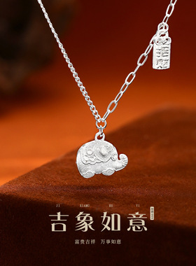 吉祥小象纯银项链女精致小众高级感999足银招财象吊坠轻奢锁骨链