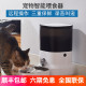 多尼斯猫咪自动喂食器宠物狗狗WIFI智能投食机四升APP定时猫粮盆