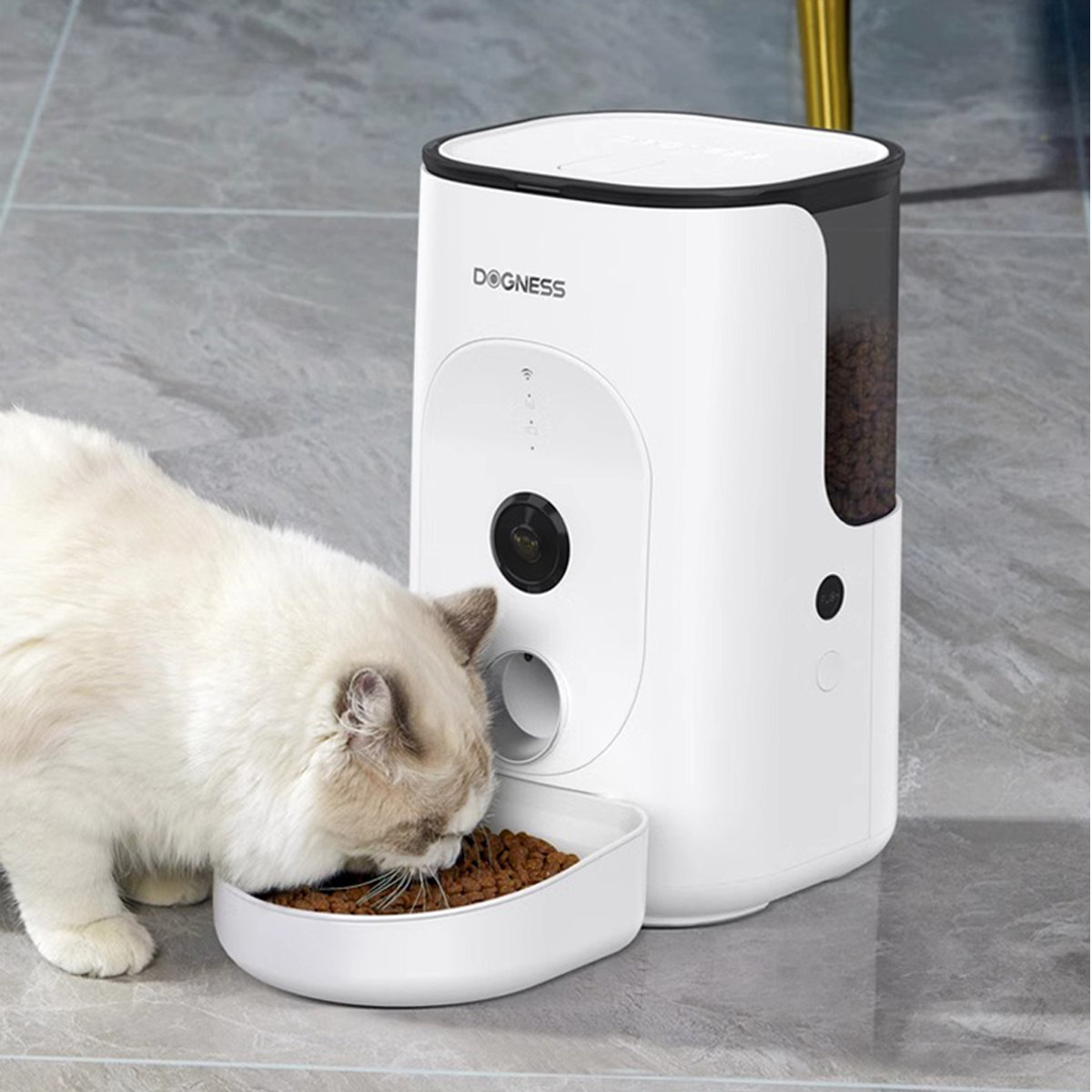 多尼斯狗狗投食器猫粮自动喂食器 宠物定时喂食机智能狗粮投食机