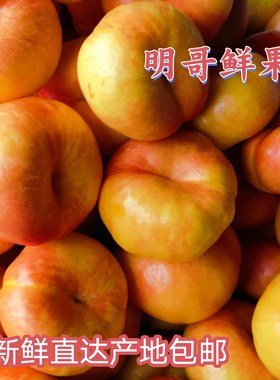 辽宁绥中特产黄油蟠桃脆甜微酸现摘现发 新鲜水果整箱5斤坏果包赔