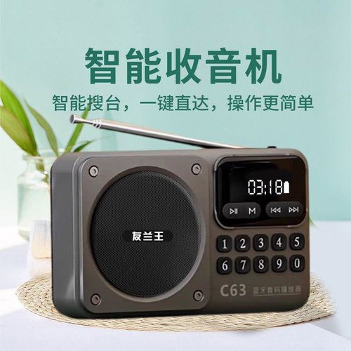 友兰王收音机老人专用插卡播放器