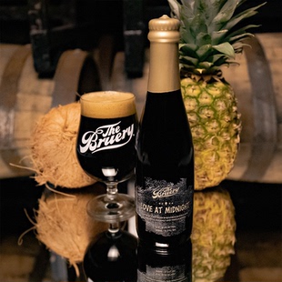 酸厂|布鲁瑞 星期二系列/分享星期二/关键对齐 小瓶 世涛精酿啤酒