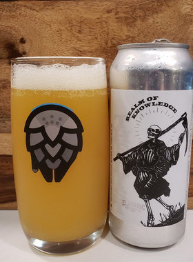 酸厂|美国 电厂 25年新到 魔法师/智慧殿堂 IPA  精酿啤酒