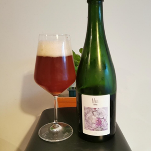 酸厂|英国米尔斯mills 腾空/流转/高切/窖藏/静止 野菌艾尔